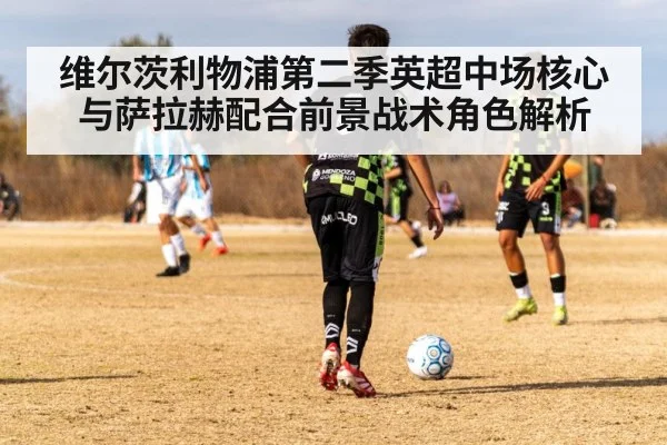 维尔茨利物浦第二季英超中场核心与萨拉赫配合前景战术角色解析 - kaiyun